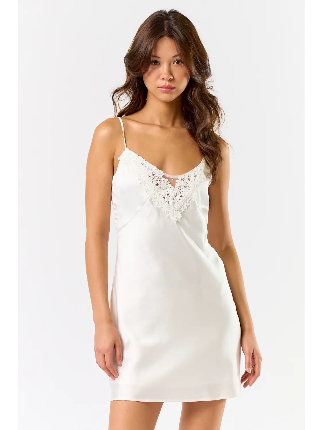 Frosted Lace Mini Dress