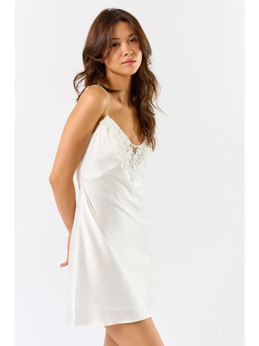 Frosted Lace Mini Dress